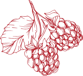 Lavender Raspberry Mimosa