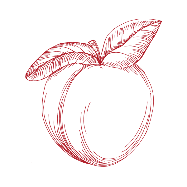 Apricot Peach Mimosa